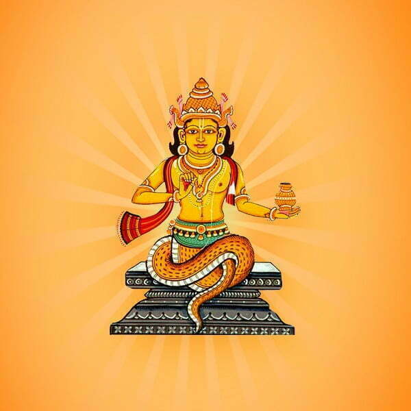 rahu devta